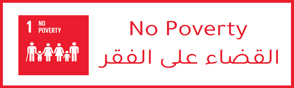 القضاء على الفقر
