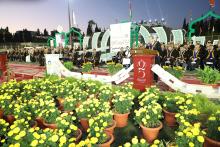 Silver Jubilee12