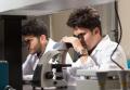  Amman Arab University Images